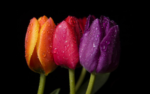 536941 (a): :2560x1600